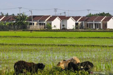 Pengamat: Pertegas tugas badan perumahan, wujudkan rumah murah