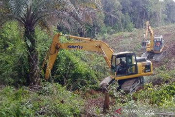 Empat koperasi kelapa sawit di Barito Utara ikuti program 'replanting'