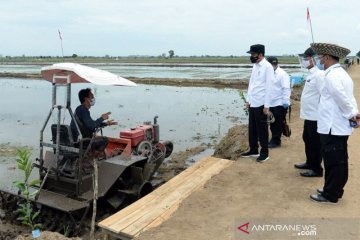 Tingkatkan produksi, Kementan gunakan varietas unggul di food estate