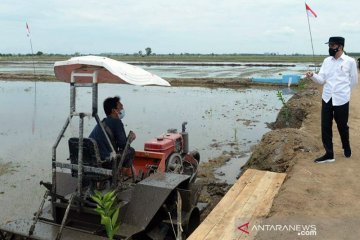 Presiden Jokowi apresiasi penggunaan drone di "food estate" Kalteng