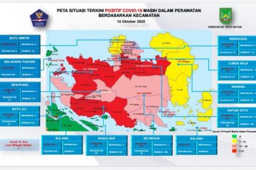 Sebanyak 28 positif dan 30 sembuh dari COVID-19 di Batam