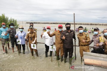 Wali Kota Singkawang tanam 25 ribu batang mangrove bantuan KKP