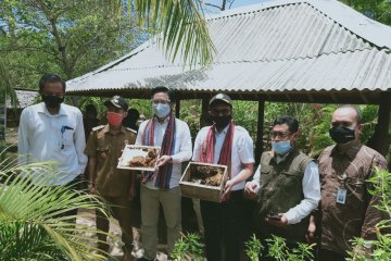 Program Desa Berinovasi kembangkan madu trigona di Lombok