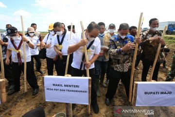 Wamendes PDTT tanam padi organik saat kunjungi lokasi transmigrasi