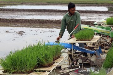 Hari pangan, konsep korporasi harus libatkan petani sebagai subjek