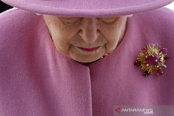 Rayakan 70 tahun Ratu Elizabeth bertakhta, warga Inggris tanam pohon