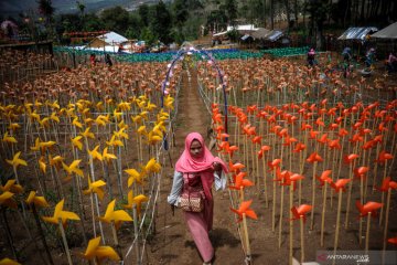 Wisata Taman Kincir Zandea