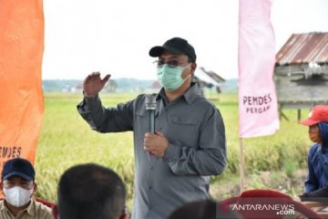 Babel jadikan sentra padi Bangka Selatan sebagai "food estate"