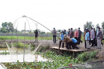 KKP dorong pemanfaatan rawa banjiran untuk tingkatkan ketahanan pangan