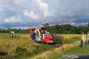 Menjaga stabilitas pangan di era pandemi