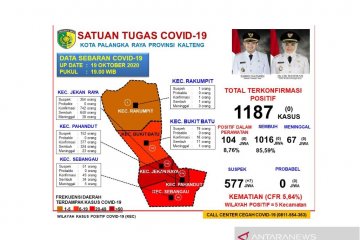 Kasus COVID-19 di Palangka Raya tak ada penambahan