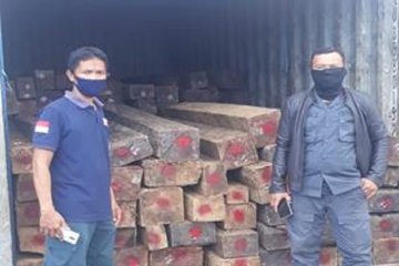 Berkas perkara kayu hitam olahan ilegal dilimpahkan  ke Kejari Kendari