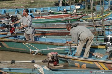 HNSI: Hasil tangkapan nelayan Cilacap anjlok akibat La Nina