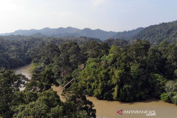 Jaminan pengelolaan hutan penting bagi masyarakat adat, kata pakar