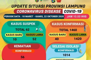 Dinkes: Jumlah kasus COVID-19 kembali bertambah 40 menjadi 1.460