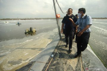 Hoaks, surat Kementerian Kelautan dan Perikanan tentang dana budidaya perikanan