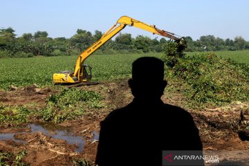 Pembersihan enceng gondok di aliran sungai