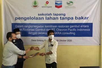 BRG gandeng Chevron kenalkan kelola lahan gambut tanpa bakar