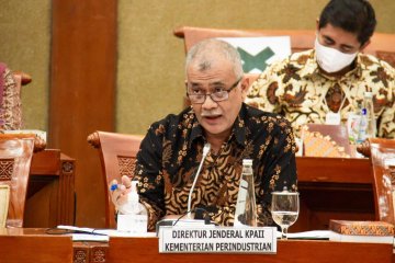 RI-UNIDO Kembangkan kawasan industri berwawasan lingkungan