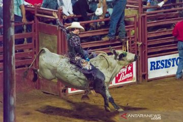 Kompetisi  Rodeo di Texas