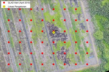 BRG gunakan data indikasi pembukaan gambut untuk peringatan dini