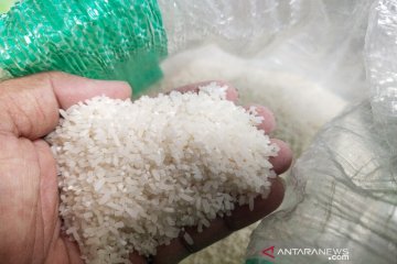 Harga beras premium Desember naik 0,76 persen