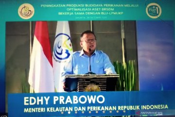 Tingkatkan produksi budidaya, Menteri Edhy dorong pemanfaatan lahan