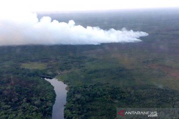 Luas hutan dan lahan yang terbakar di Riau turun 99 persen lebih