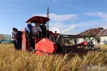 Hadapi La Nina, Mentan minta pemda persiapkan ketahanan pangan