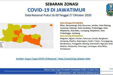 Satgas COVID-19 Jatim catat daerah zona kuning bertambah