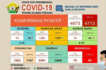 Sebanyak 3.446 dari 4.713 pasien COVID-19 di Sultra sembuh