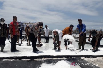 Akibat tak ada pembeli, ribuan ton garam di NTT menumpuk