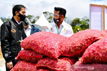 Mentan sebut "food estate" Humbahas jadi contoh korporasi hortikultura