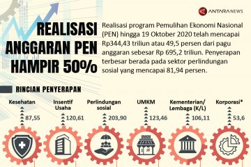 Realisasi anggaran PEN hampir 50 persen