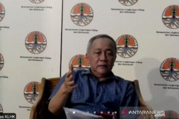 Pemerintah akan pastikan protokol ketat pembangunan di TN Komodo