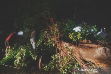 Dampak cuaca buruk di Palu