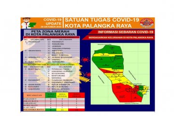 11 Kelurahan di Palangka Raya zona kuning penyebaran COVID-19