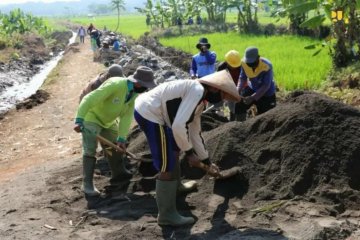 NTT targetkan padat karya pertanian serap 1.505 pekerja