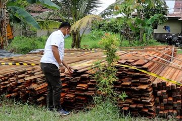 Ditpolairud Polda Kalbar gagalkan penyelundupan 1000 batang kayu campuran