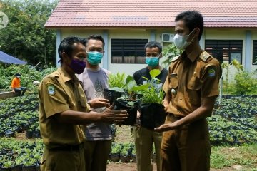DKP Kota Tangerang siap bagikan 10 ribu bibit tanaman untuk warga