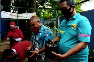 Dukung ketahanan pangan, Disdik Tangerang panen hasil pemanfaatan lahan sekolah