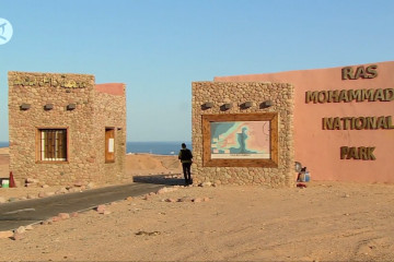 Taman Nasional Ras Mohammad, surga bagi kehidupan laut dan penyelam
