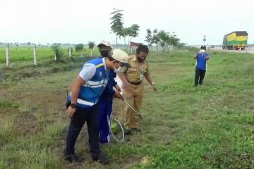 Kendalikan hama tikus, petani lakukan gropyokan tikus