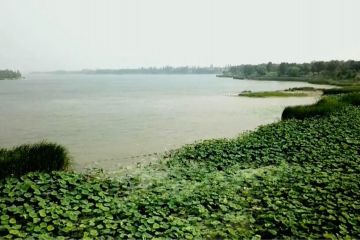 Taman Lahan Basah Nasional Waduk Guanting di China resmi dibuka