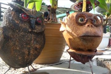 Bonsai kelapa, tanaman hias unik bernilai jual tinggi