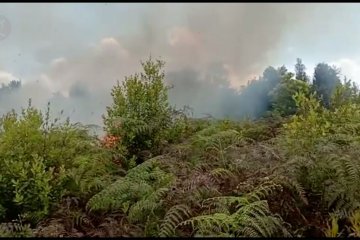 3 hektare lahan di Danau Rangas ludes terbakar