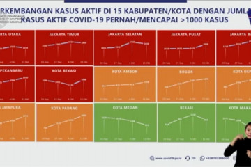 Satgas ingatkan 16 kabupaten/kota terkait  jumlah kasus aktif