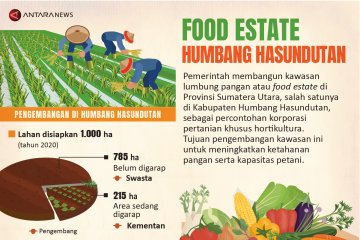 'Food estate' Humbang Hasundutan