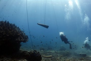 PLTU Batang bangun dua terumbu karang buatan