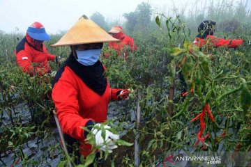 BPS catat inflasi Oktober 2020 sebesar 0,07 persen